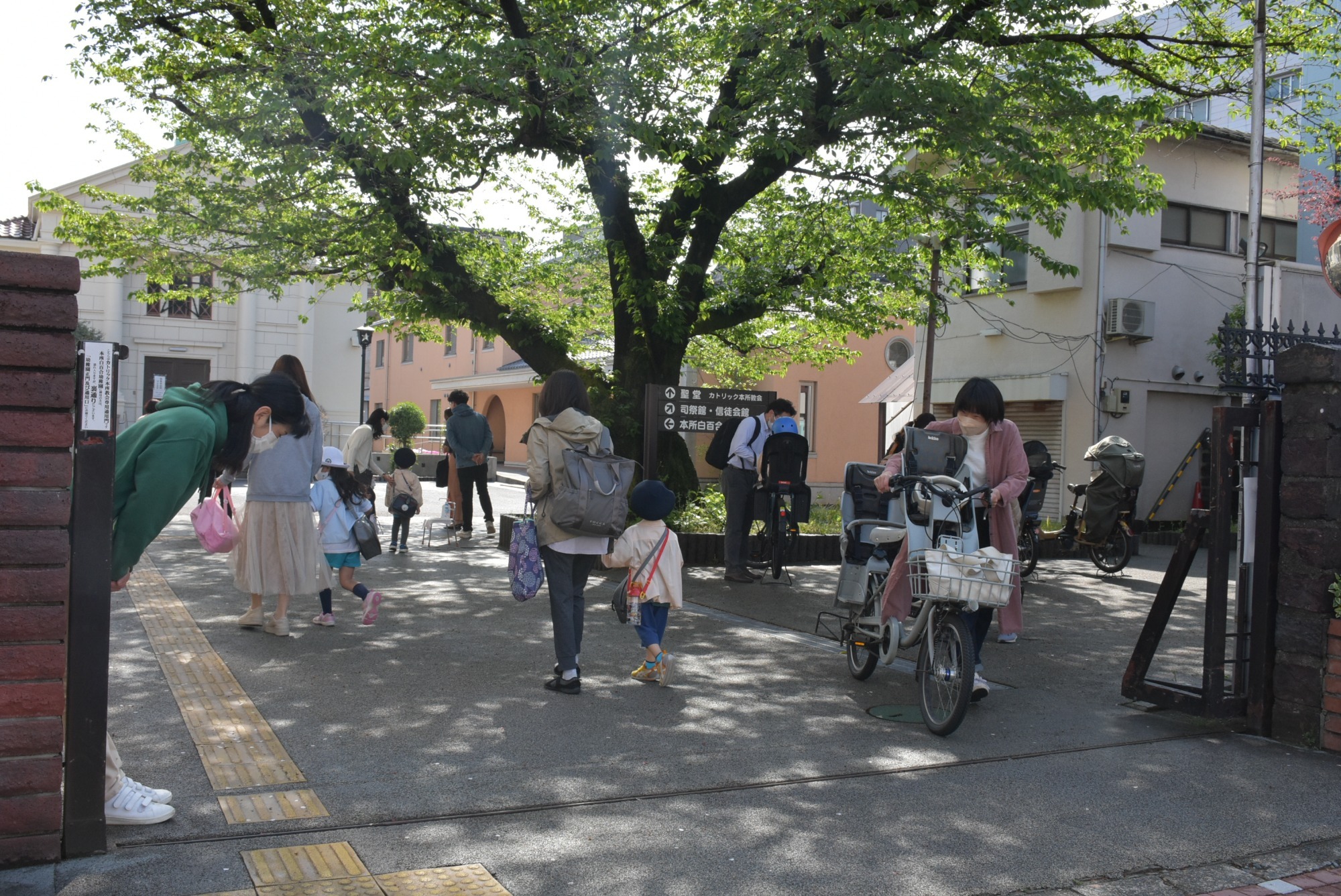 写真：登園のイメージ