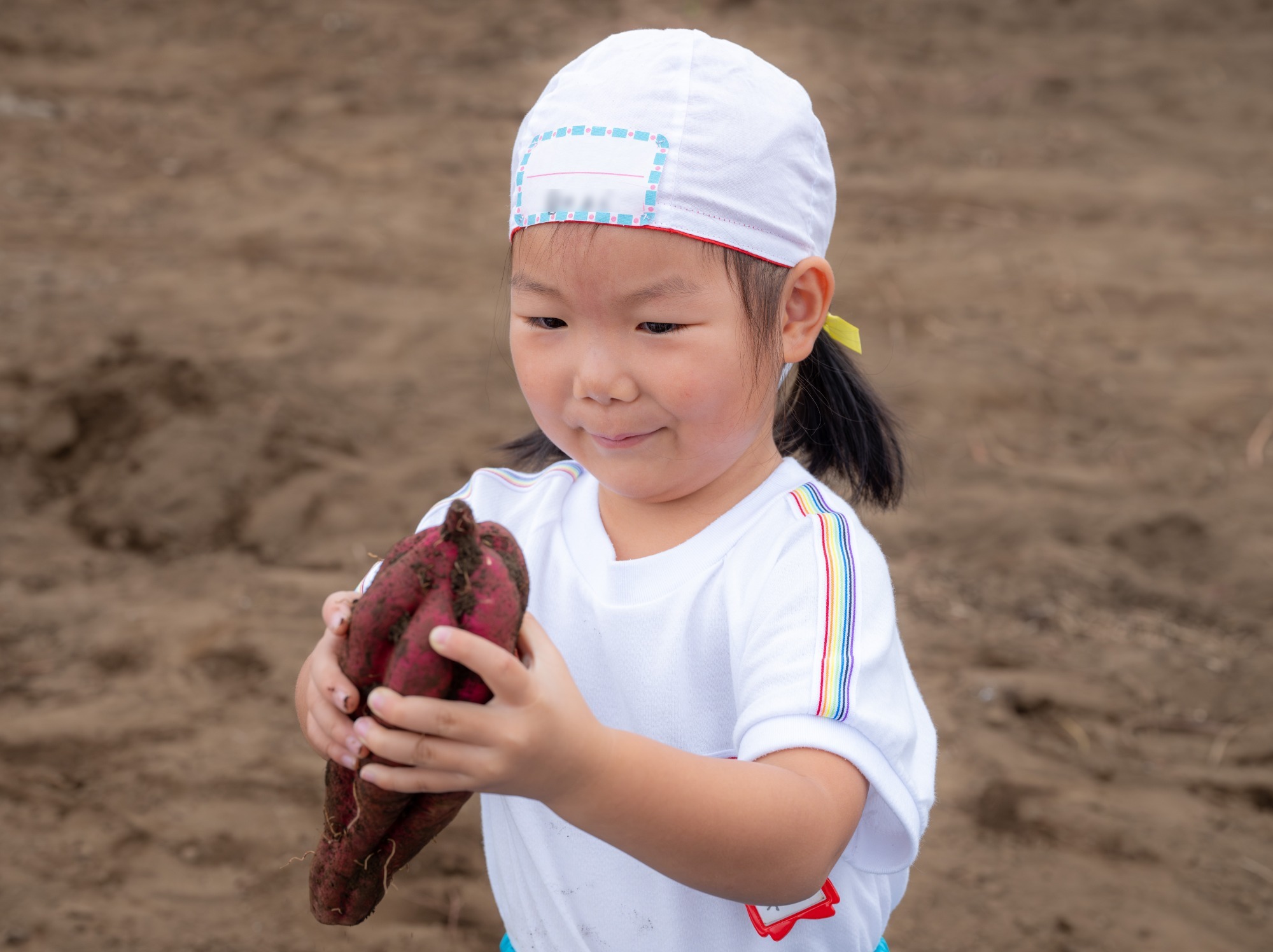 写真：9月のイメージ